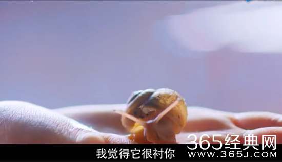 【卫视剧能说】第七十三期：种“烧焦的乌鸦”，取“内丹精元”，香蜜沉沉烬如霜你约吗？