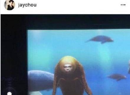 周杰伦版美人鱼是什么意思 周杰伦版美人鱼是什么梗