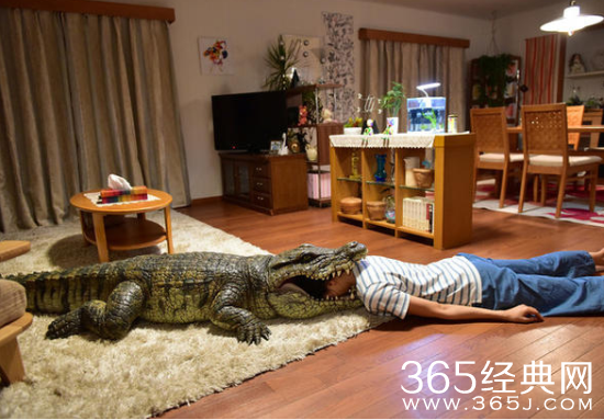 回家时妻子一定在装死什么时候上映 回家时妻子一定在装死上映时间介绍