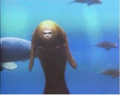 周杰伦版美人鱼是什么意思 周杰伦版美人鱼是什么梗