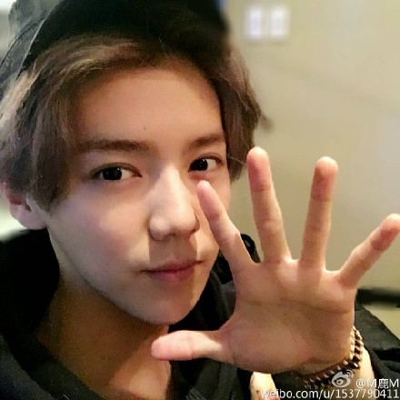 支付宝五福到手势图片大全 支付宝五福到手势能扫出敬业福吗