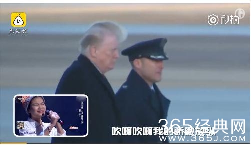 大风吹开川普的头发是什么梗 大风吹开川普头发视频