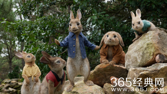 比得兔有哪些角色 比得兔各角色介绍