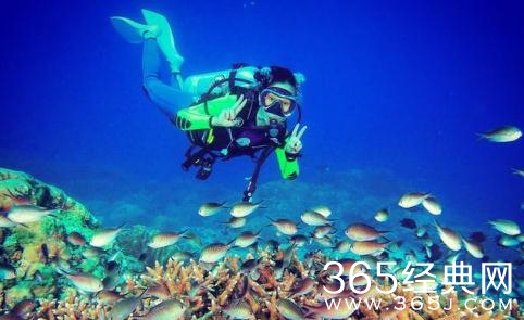 韩庚卢靖姗领证了吗 韩庚卢靖姗在哪里潜水的