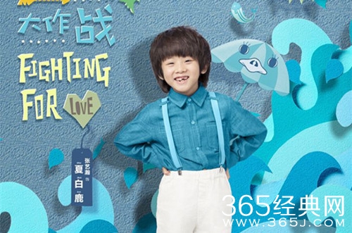 单恋大作战夏白鹿是谁演的 单恋大作战夏白鹿扮演者资料介绍