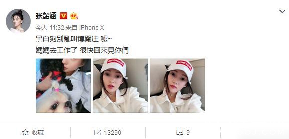 张韶涵说黑白狗别乱叫是什么意思 黑白狗指的是谁