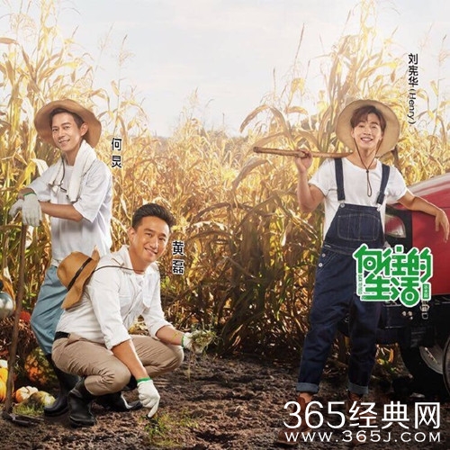 【综艺甜饼】第81期：由何炅黄磊加持的向往2，凭什么选他做固定MC？