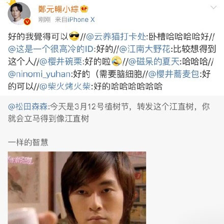 植树节江直树是什么梗