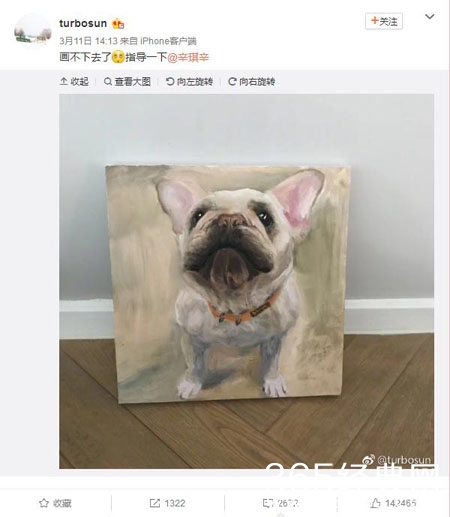 孙俪晒画作：网友：惟妙惟肖似邓超