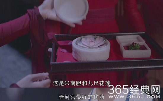 【卫视剧能说】第八十八期：昔日火遍校园的小说剧本加上高颜值组合，为何豆瓣评分仅有5.4