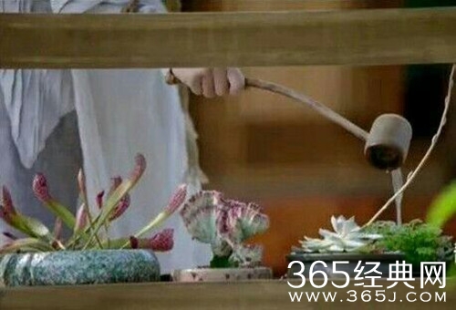 【就是个水槽】第四十二期：烈火如歌中发现致富经！原来很多人距离暴富只差一次穿越！