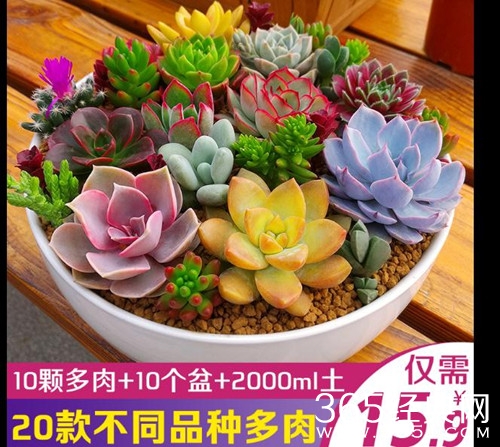 【就是个水槽】第四十二期：烈火如歌中发现致富经！原来很多人距离暴富只差一次穿越！