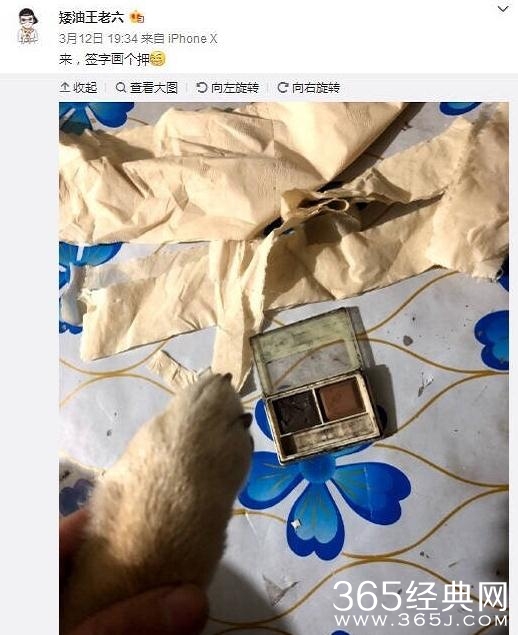 狗子的正确用法，你知道吗？