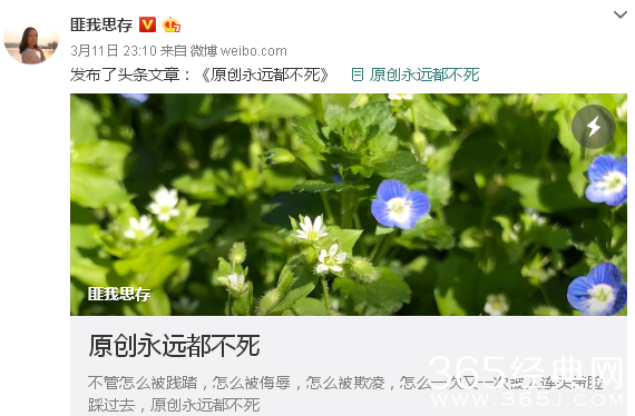 电视剧人生若如初相见侵权是真的吗会停播吗