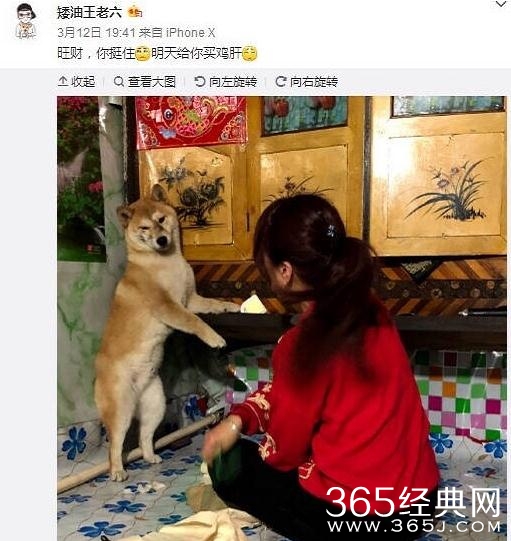 狗子的正确用法，你知道吗？