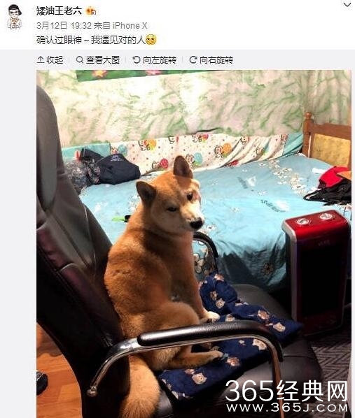 狗子的正确用法，你知道吗？