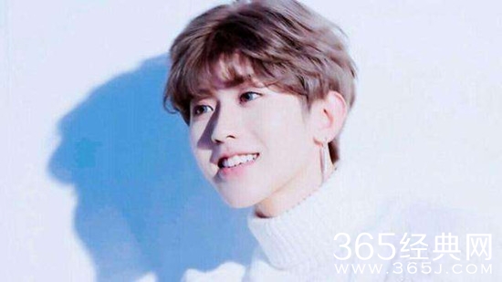 偶像练习生土味追星是什么意思