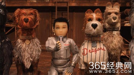 犬之岛内地引进时间介绍