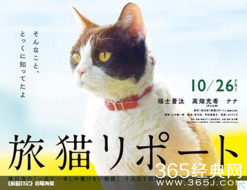日本电影旅猫日记什么时候上映