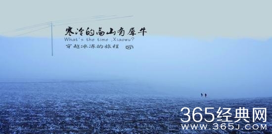 寒冷的高山有犀牛聚焦边缘儿童的故事