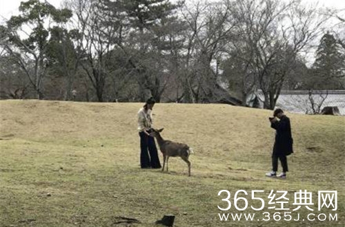 李沁日本游玩被偶遇，网友：十分随性可爱