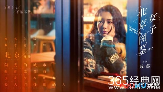 【卫视剧能说】第九十七期：根据日剧改编的《北京女子图鉴》，会是下一个《深夜食堂》吗？