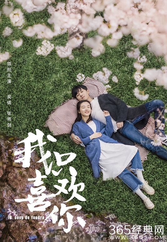 电视剧我只喜欢你演员阵容曝光