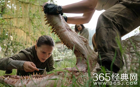 【寻影启示录】第五期：是不是热度越高的电影看得人越多