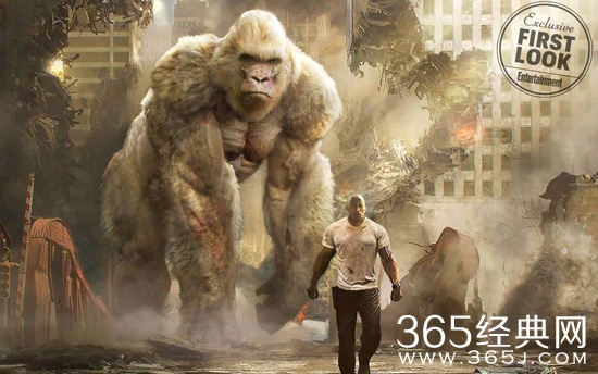 【寻影启示录】第五期：是不是热度越高的电影看得人越多