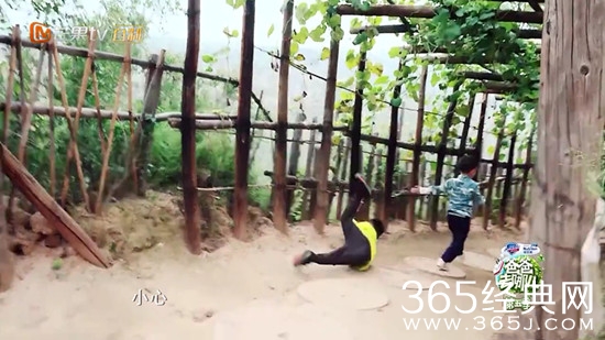 【卫视剧能说】第一百零三期：明星摔倒哪家强，胡歌才是被大地宠爱的人