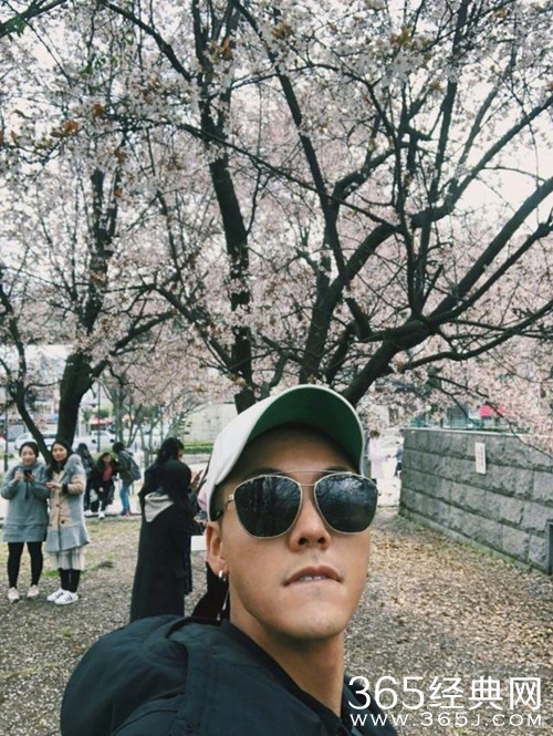 陈伟霆晒樱花下自拍，惨遭网友揭穿
