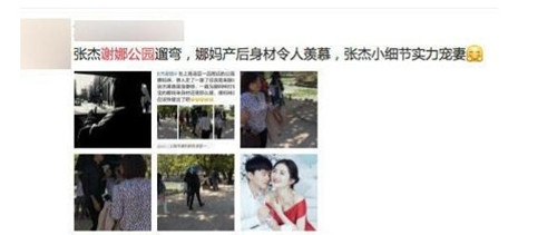 谢娜辟谣不实传闻：没去机场没逛公园没直播