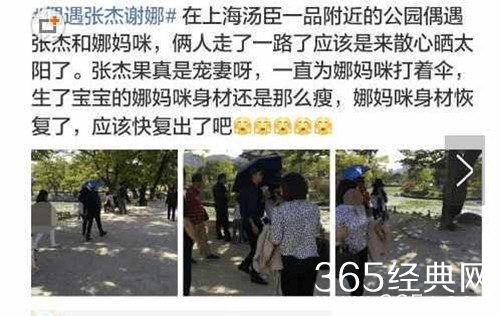 谢娜辟谣不实传闻：没去机场没逛公园没直播