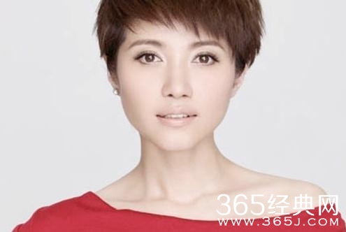 阳光下的法庭白雪梅是谁演的
