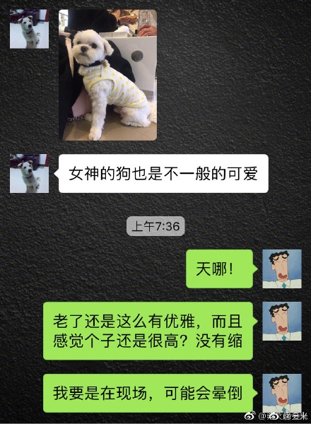 网友偶遇王祖贤，女神家的狗都那么可爱