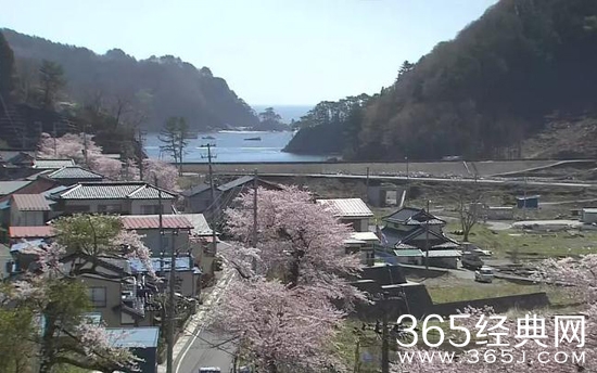 【寻影启示录】第八期：发生在春天里的故事大家喜欢吗