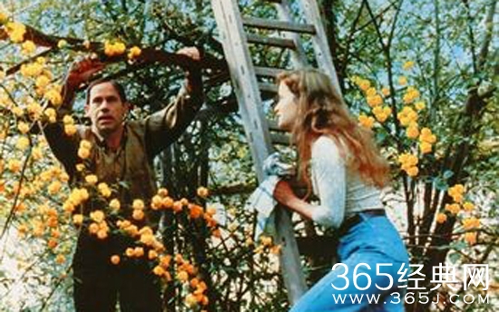 【寻影启示录】第八期：发生在春天里的故事大家喜欢吗