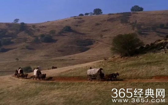 【寻影启示录】第八期：发生在春天里的故事大家喜欢吗