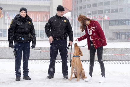 奔跑吧第二季第一期插曲背景音乐有哪些
