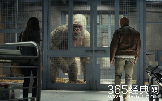 【侃侃殿影】第九十八期：巨石强森又一次拯救世界，让我们一起打call