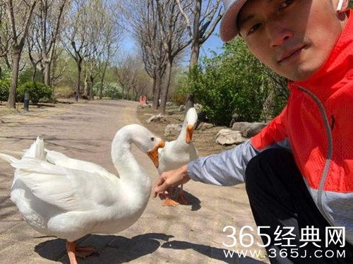 谢霆锋晒与鹅自拍照，隔空喊话容祖儿