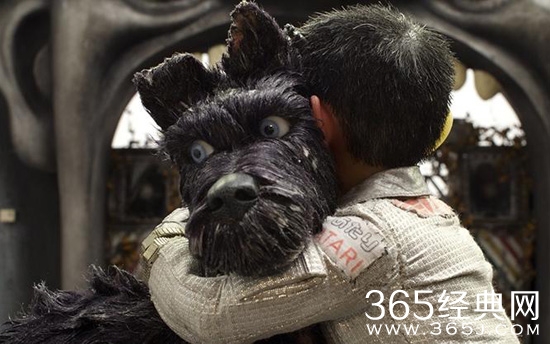 【赏影猎人】第九期：以纯粹的狗狗视角来讲故事