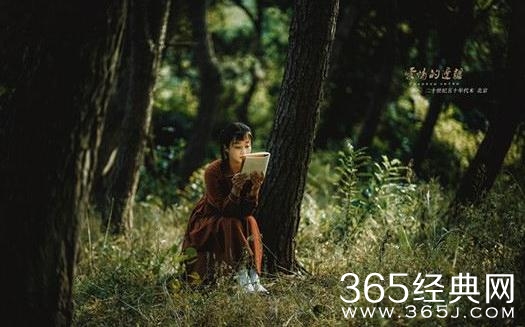 爱情的边疆万声结局如何和文艺秋在一起了吗