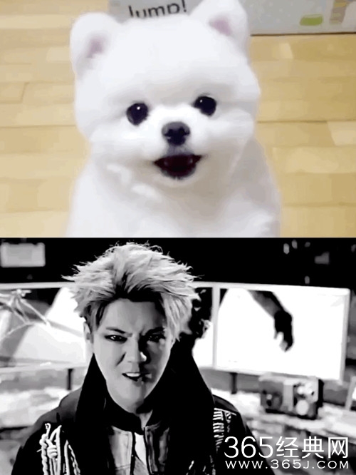 鹿晗再现葛优瘫，还跟沙发撞了衫