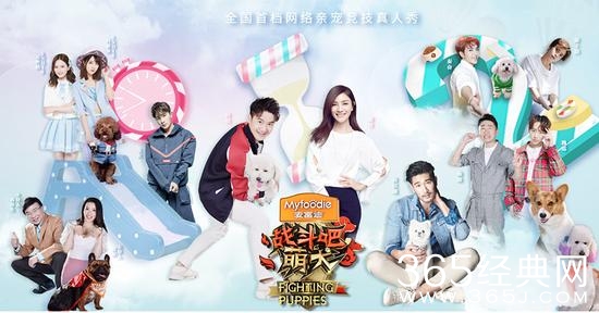 战斗吧萌犬是一档什么综艺 嘉宾阵容如何