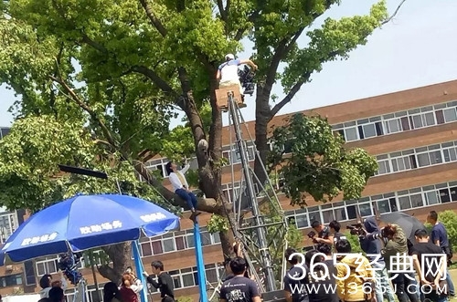 【最夯剧集社】第七十三期：剧版《七月与安生》双女主是陈都灵和沈月，男主人选也呼之欲出？