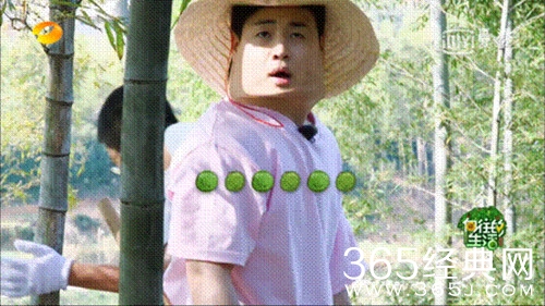 向往的生活2第3期李诞怎么那么懒 活该被骂