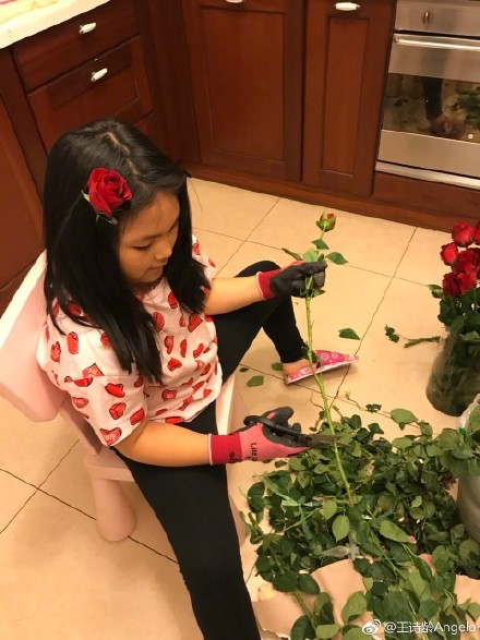 李湘晒王诗龄插花照，模样认真又可爱