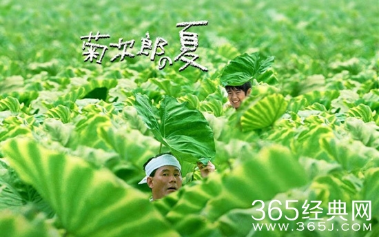 【寻影启示录】第十四期：夏天的时候，大家都喜欢干些什么?