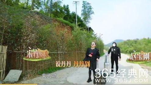 向往的生活2宋丹丹巴图怎么又来了